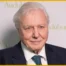 Happy Birthday Sir David