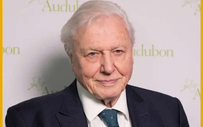 Happy Birthday Sir David