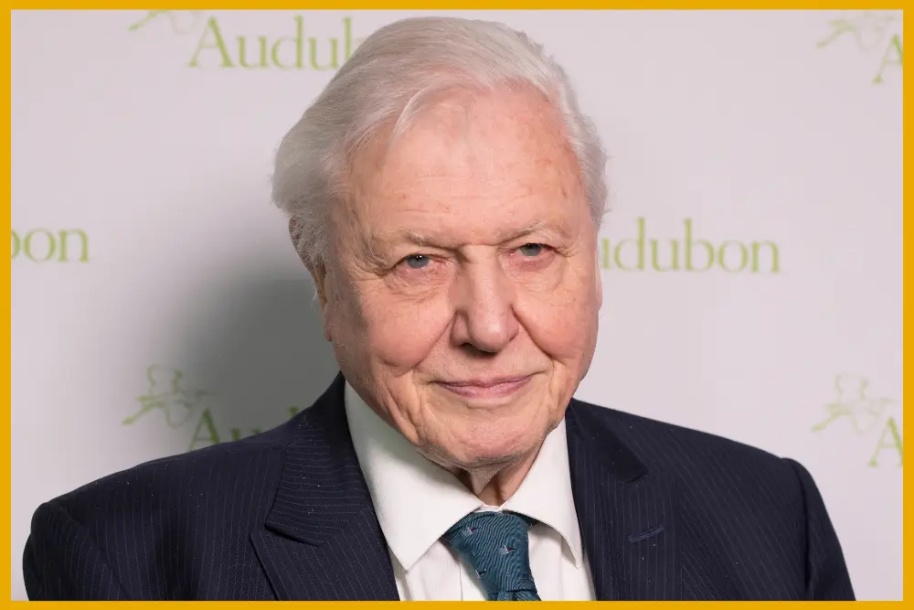 Happy Birthday Sir David