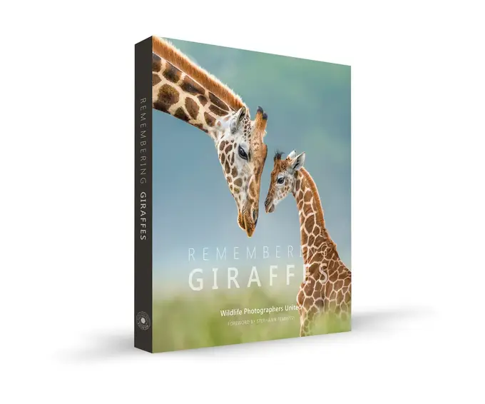 Remembering Giraffes