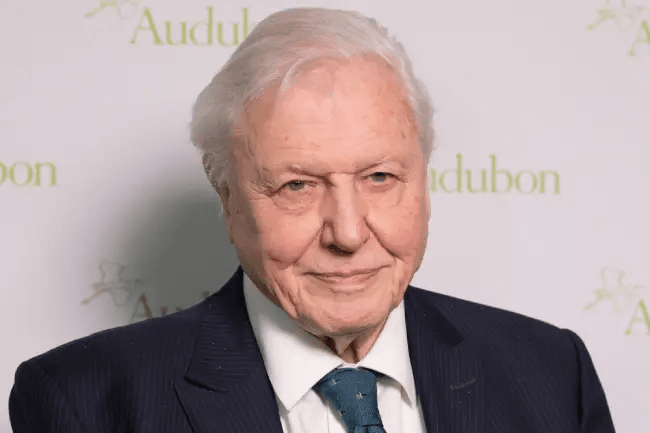 Happy Birthday Sir David