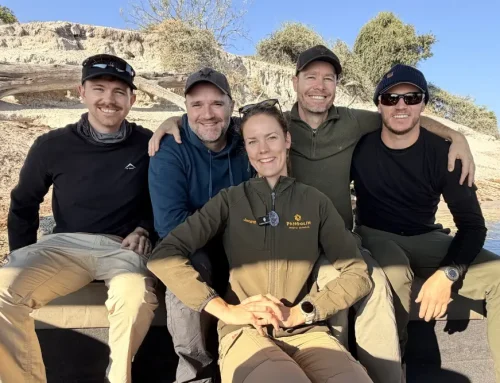 Meet the Pros with 4 Wildlife YouTubers