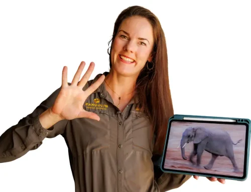 Why Your Safari Photos Look Sharp on Camera (But Blurry at Home)