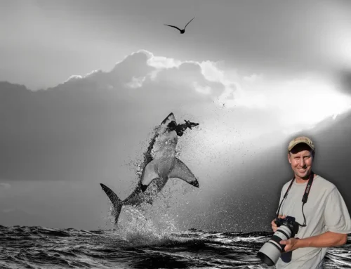 Meet the Pro with Chris Fallows