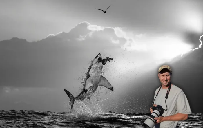 Meet The Pro - Chris Fallows