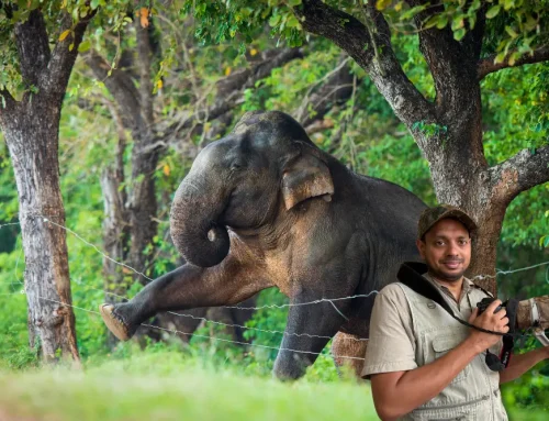 Meet the Pro with Riaz Cader