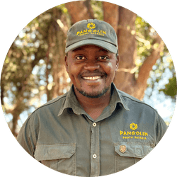 Pangolin Photo Host Moses Lebitla Pangolin Photo Host Moses Lebitla