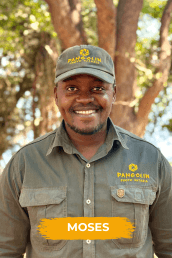 Pangolin Photo Host Moses Lebitla