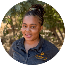 Pangolin Photo Host Tamia Game Wright Pangolin Photo Host Tamia Game Wright