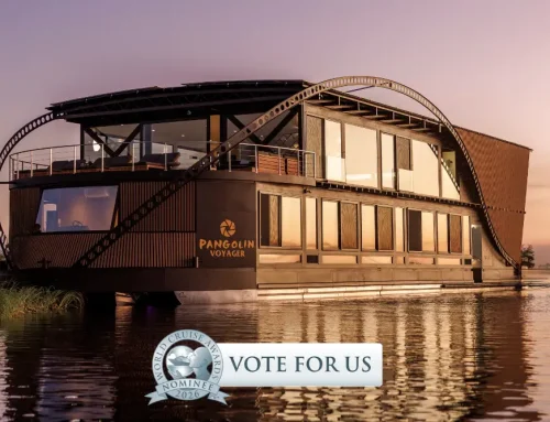Pangolin Voyager nominated in World Cruise Awards 2026